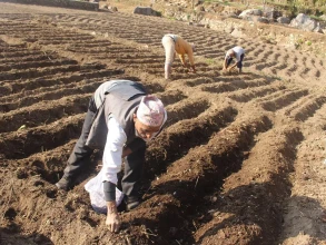 सिङ्गो हिउँदमा पानी नपर्दा किसानलाई बाली बिग्रने चिन्ता