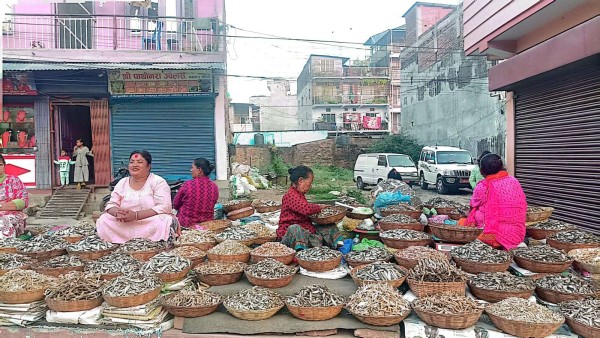 धरानमा फस्टाउँदै सिद्रा व्यापार